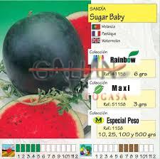 SANDIA SUGAR BABY "MAXI"                